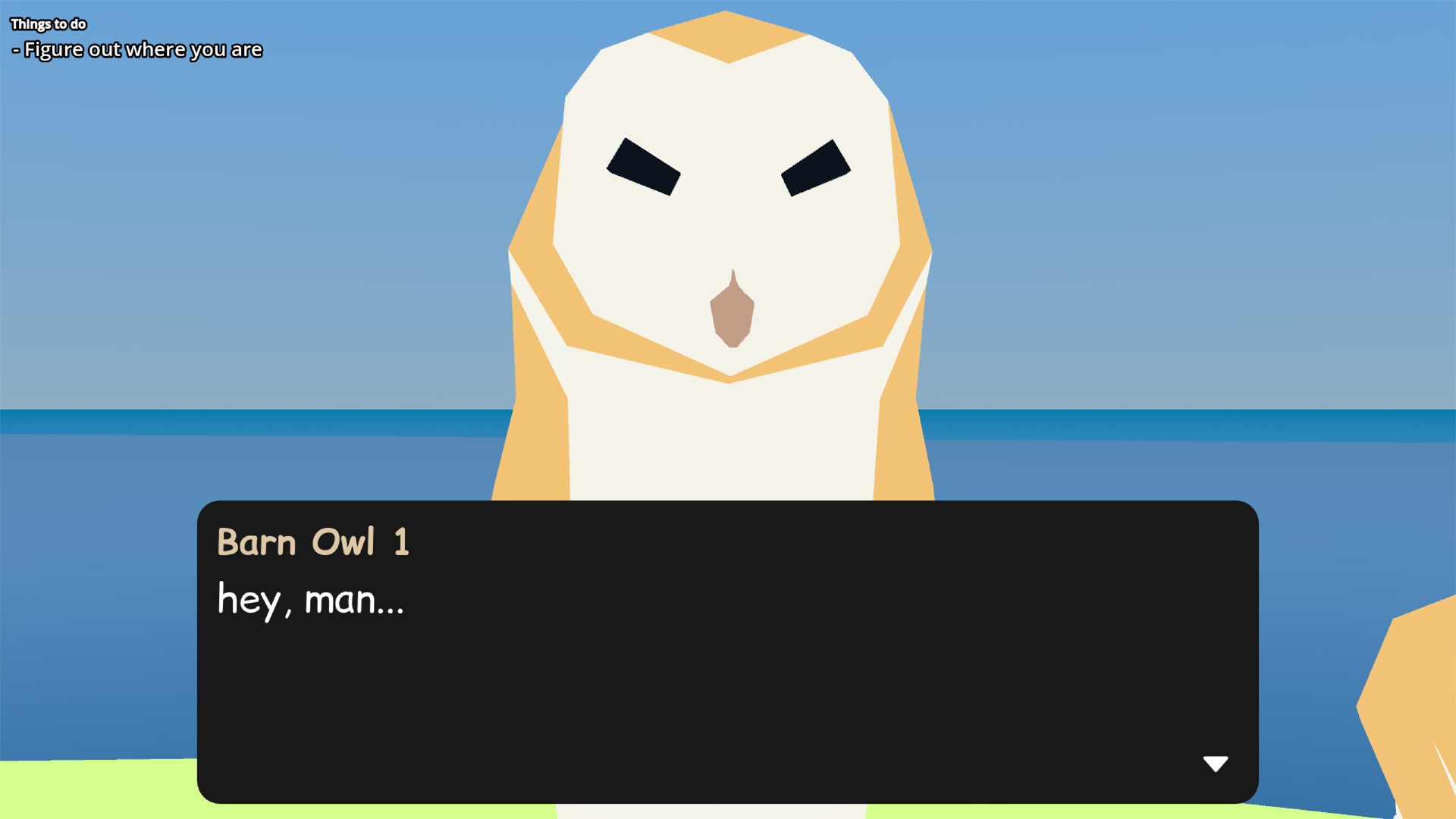 Barn owls are weird guys.